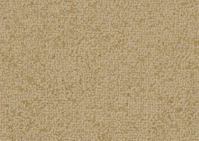 Galaxy Barley Wool Aircraft Carpet