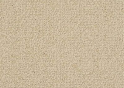 Galaxy Sandstone Wool Aircraft Carpet